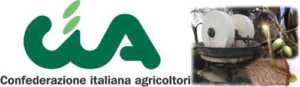 AGRICOOP COSENZA APPRODA A ROSSANO PER INCONTRARE I FRANTOIANI. SECONDO SEMINARIO FORMATIVO RIVOLTO AI GESTORI DI FRANTOI, IMPRESE DI CONFEZIONAMENTO E COMMERCIANTI DI OLIO SFUSO
