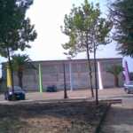 Bisignanu bisignusu. Cronaca estemporanea di un’ordinaria mattinata in fila