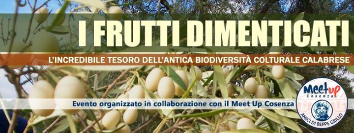 Frutti dimenticati