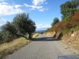 strada-civita-san-mauro-pulita-dai-cittadini