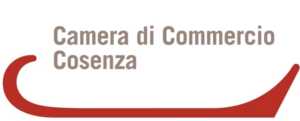 logo-camera-di-commercio-di-cosenza