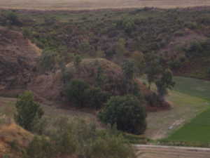 P9180159