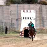 Il Palio del Principe
