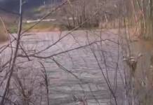 Allarme fiume Crati, per Andrea Algieri servono interventi celeri