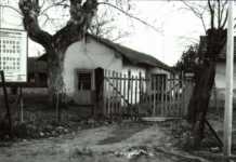 Ferramonti celebra Fingesten, l’artista esposto anche a Bisignano