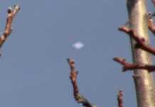 UFO a Bisignano: avvistato misterioso tra Zarella e Cozzo Rotondo