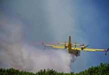 Lotta agli incendi boschivi: proposte per facilitare le operazioni di spegnimento