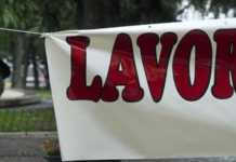 Tirocinanti sempre più stanchi vogliono certezza sul loro futuro