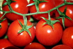 pomodoro-calabria