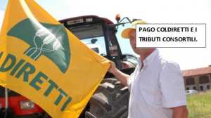 coldl335