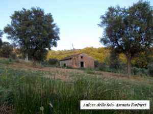 casolare