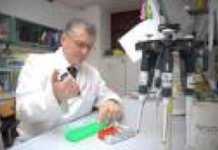 Caso Yara Gambirasio: Un cosentino nel pool che ha individuato il presunto assassino