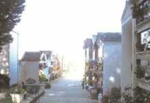 Aggredito da un montone al cimitero. Anziano ferito alle gambe finisce in ospedale