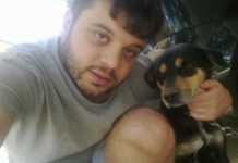 Perri contro il randagismo