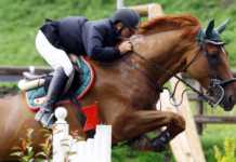 A Bisignano il primo campionato regionale di equitazione