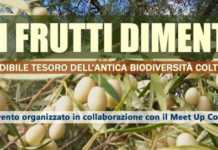 “I frutti dimenticati: l’incredibile tesoro dell’antica biodiversità colturale calabrese”