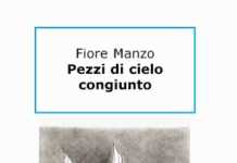 Pezzi di cielo congiunto, il libro