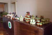 L’agricoltura cresce in Calabria