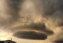 I falsi miti sul fascismo