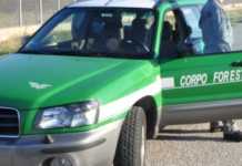 Incendio in località Giardini, individuati i presunti responsabili