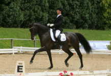 Paglialonga di Bisignano ospiterà da la Coppa Italia dressage dal 17 al 19 luglio