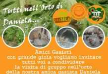 Tutti all’orto di Daniela…