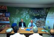 Il Gal per il piano d’azione locale