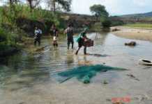 Moria di pesci a Frassia