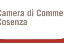 Contributi a sostegno della creazione di nuove imprese
