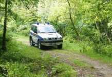 Ampia operazione antibracconaggio a Bisignano e San Giovanni in Fiore