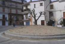 Un ulivo secolare per abbellire la rotatoria a San Francesco