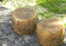 A Bisignano è tornato il popolare gioco della Pezza ‘u casu