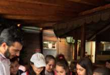 Grano, mulini a pietra e lievito madre