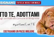 Io aspetto te, adottami. La nuova pagina per favorire le adozioni dei randagi