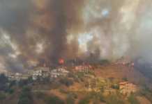 Spaventoso incendio a Luzzi, la disperazione dei residenti