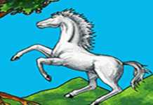 La Chinea bianca di Bisignano