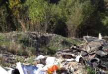 Breviloquio illustrato