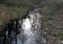 Santa Sofia d’Epiro, denunciato proprietario di un frantoio che scaricava rifiuti nel torrente