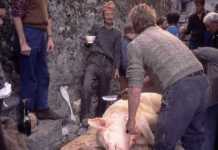 La tradizione del maiale a Bisignano