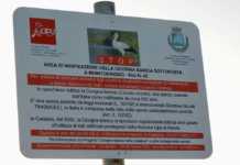 Bisignano paese della cicogna bianca