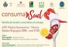 Consuma Sud, Acri protagonista