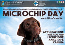 3 novembre, una giornata a 4 zampe
