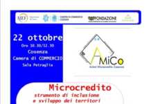 Nasce il Progetto A.Mi.Co. per creare occupazione e inclusione sociale Amico Camera Commercio Cosenza