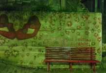 “Non una di meno” il comunicato della consigliera Francesca Coschignano