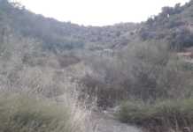 Una culla vuota a Bisignano