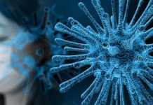Coronavirus, scatta allarmismo anche a Bisignano
