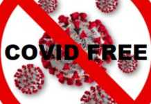 Gli occhi del Covid – Parodia n.3