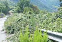 Bocchigliero, minoranza segnala incuria