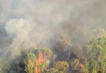 Bisignano assediata dalle fiamme: Interventi ancora in corso