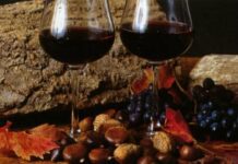 Filiera Vitivinicola, il Gal Valle Crati in prima fila